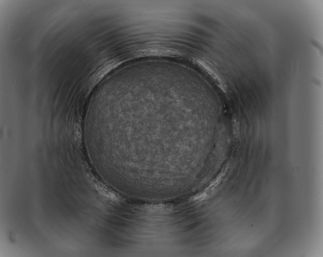 X0000091291025200708241024