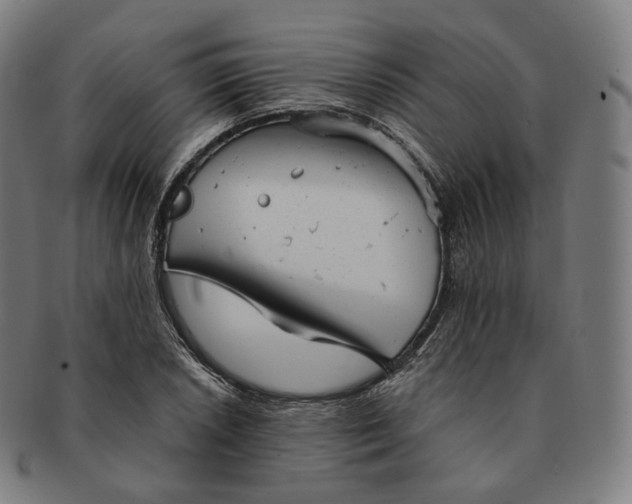 X0000091291026200708241024