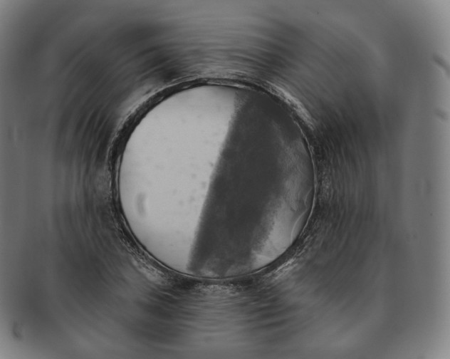 X0000091291027200708241024