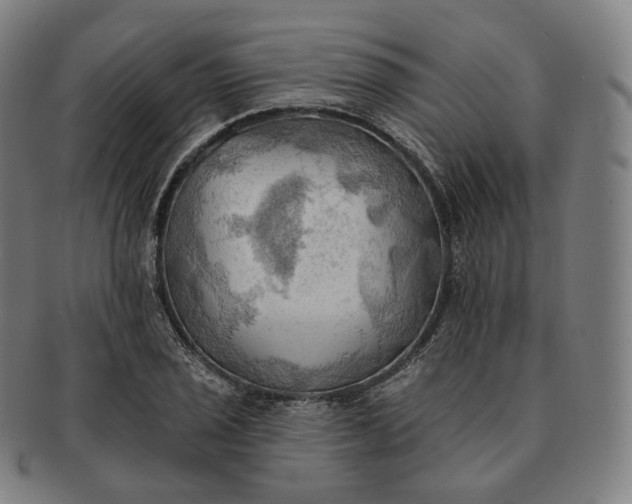 X0000091291029200708241024