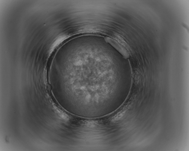 X0000091291030200708241024