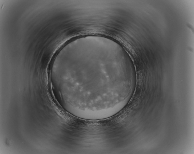 X0000091291031200708241024