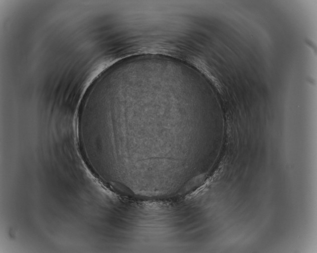 X0000091291032200708241024