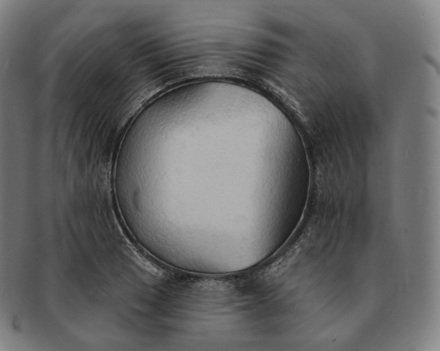 X0000091291033200708241024