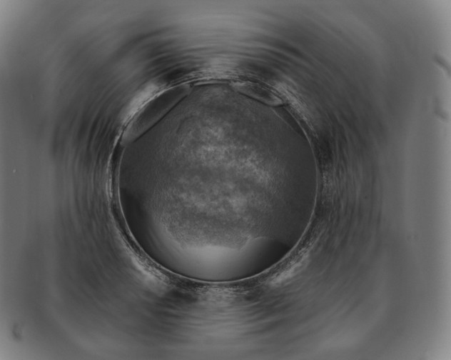 X0000091291034200708241024