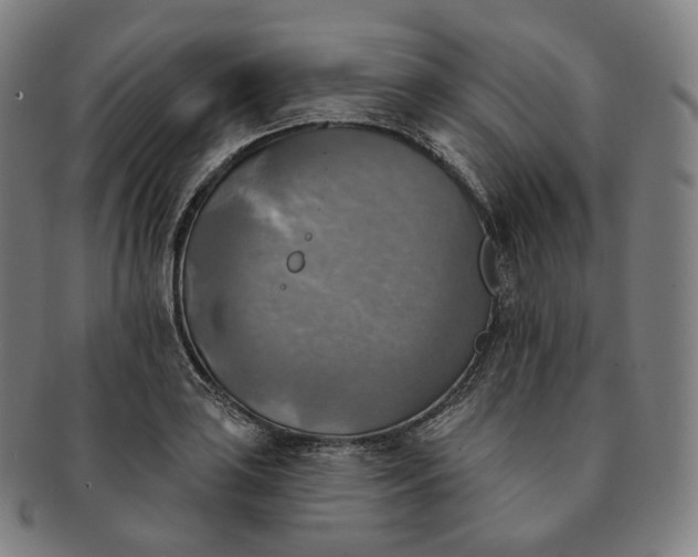 X0000091291035200708241024