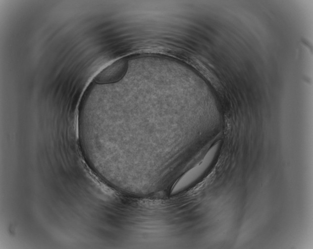 X0000091291036200708241024