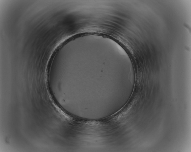 X0000091291037200708241024