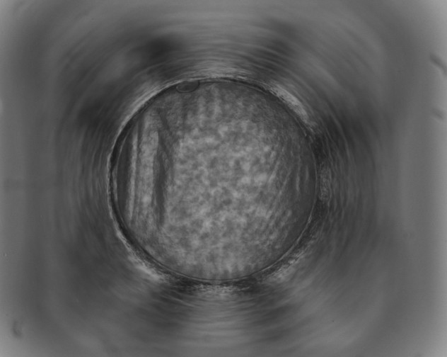 X0000091291039200708241024