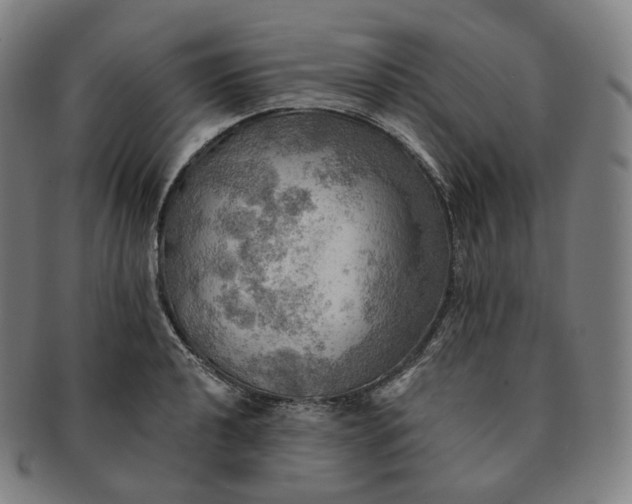 X0000091291040200708241024