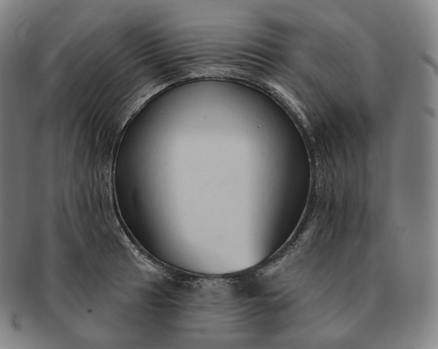 X0000091291041200708241024