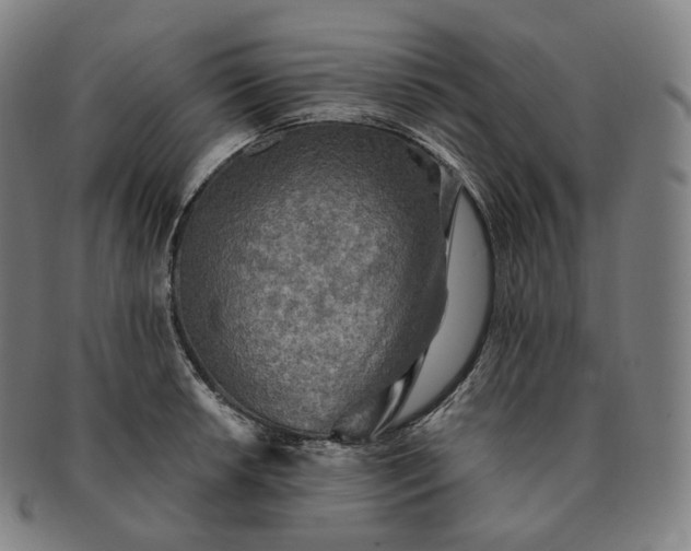 X0000091291042200708241024