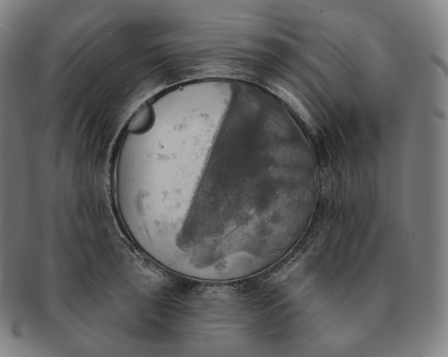 X0000091291043200708241024