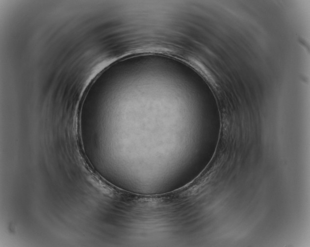 X0000091291044200708241024