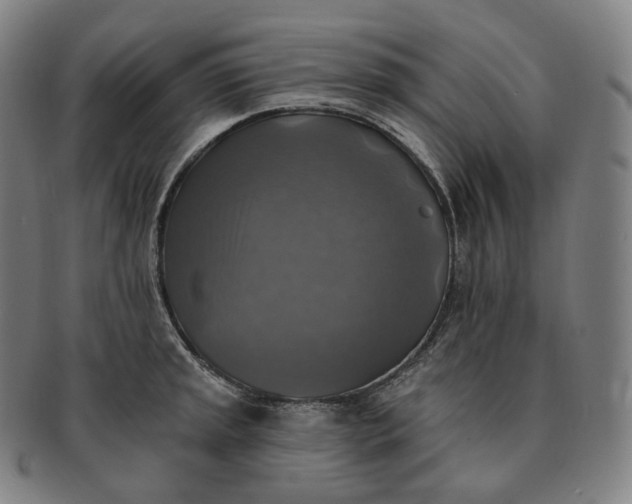 X0000091291045200708241024