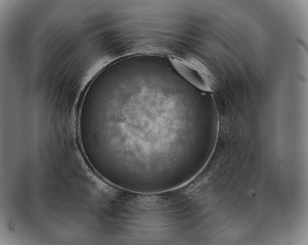 X0000091291046200708241024