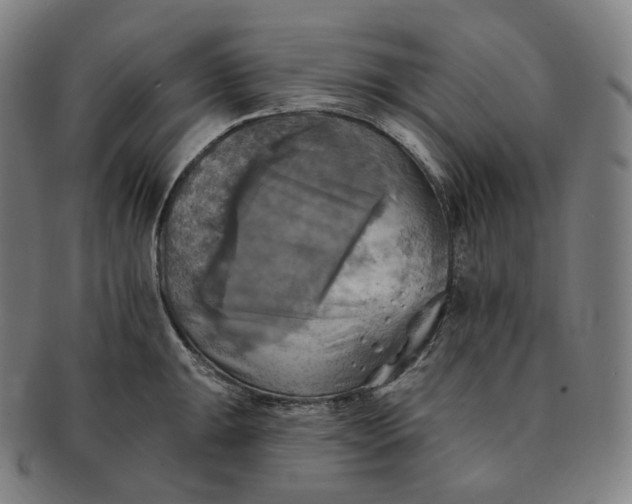 X0000091291047200708241024