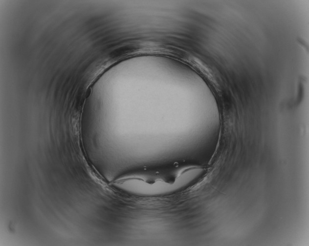 X0000091291049200708241024