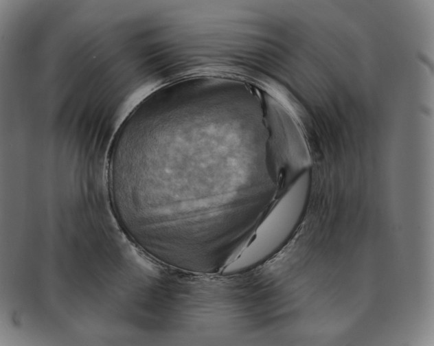 X0000091291050200708241024