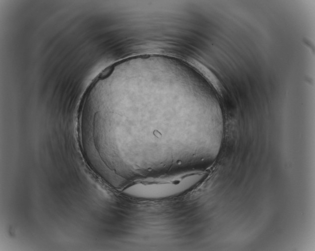 X0000091291051200708241024