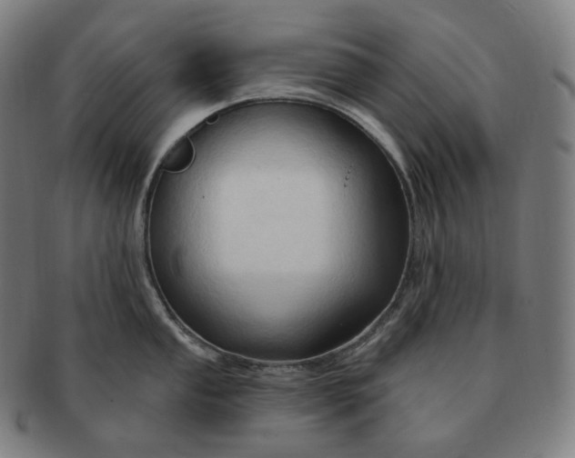 X0000091291053200708241024