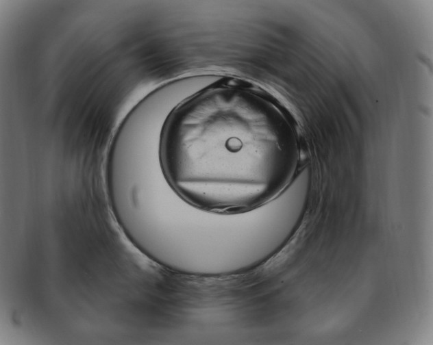 X0000091291054200708241024