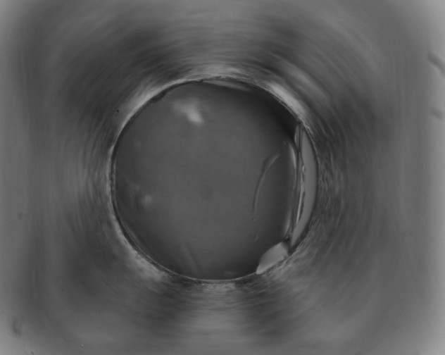 X0000091291055200708241024