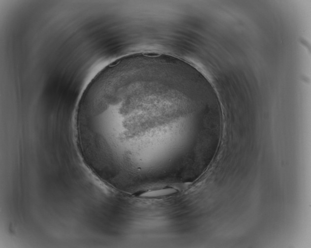 X0000091291056200708241024