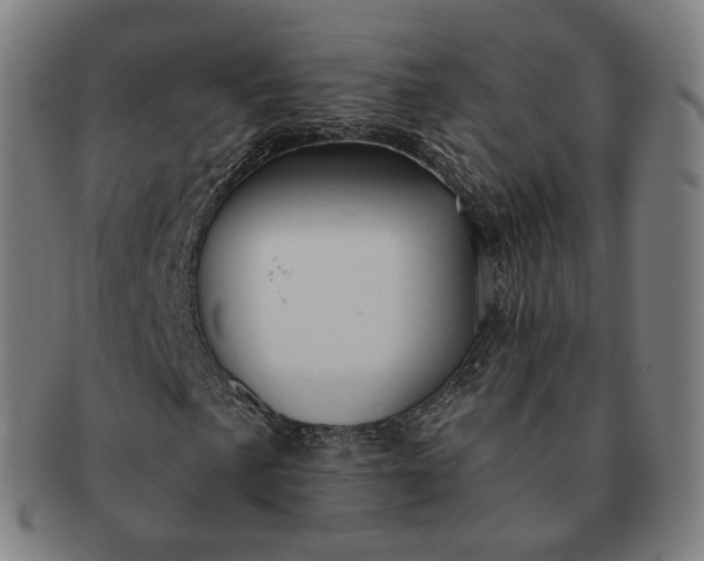 X0000091291057200708241024