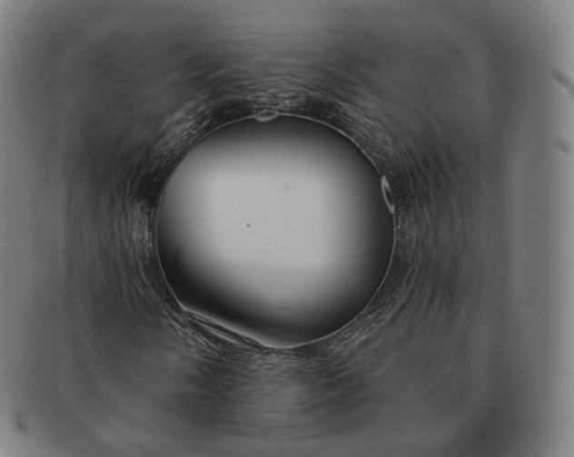 X0000091291058200708241024