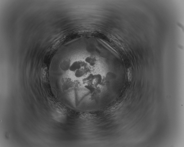 X0000091291059200708241024