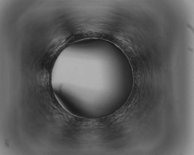 X0000091291061200708241024