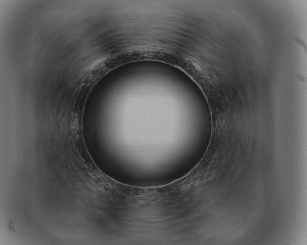 X0000091291062200708241024