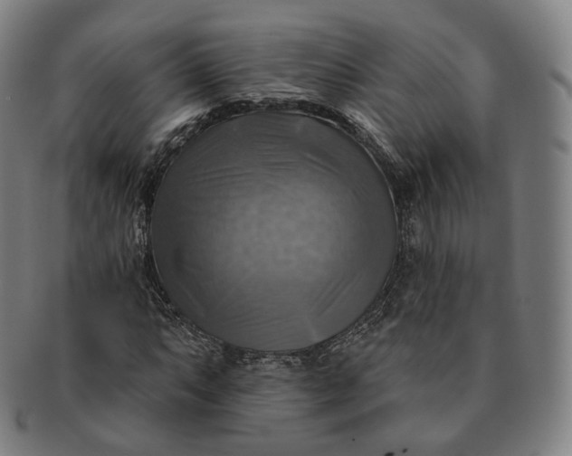 X0000091291063200708241024