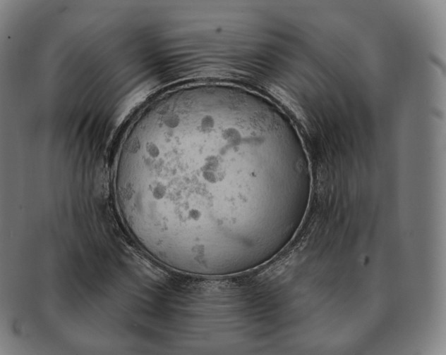 X0000091291067200708241024