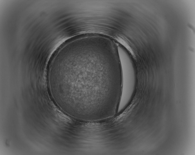 X0000091291068200708241024