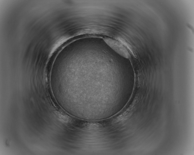 X0000091291070200708241024