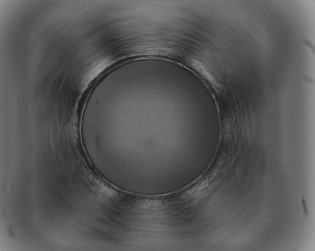 X0000091291071200708241024