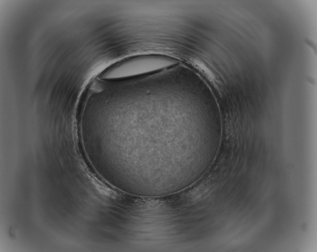 X0000091291072200708241024