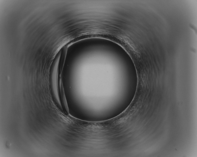 X0000091291073200708241024