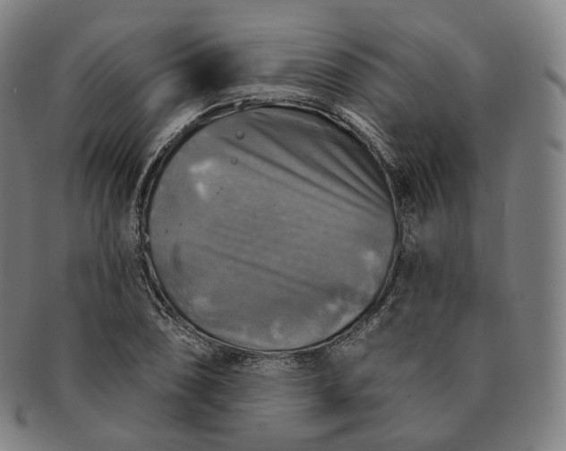 X0000091291074200708241024