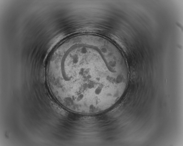 X0000091291075200708241024