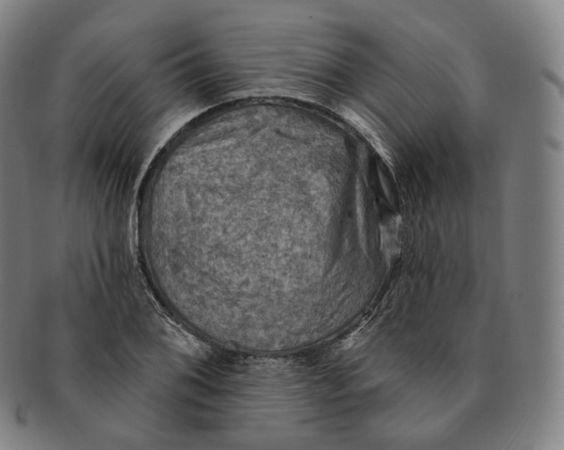 X0000091291076200708241024