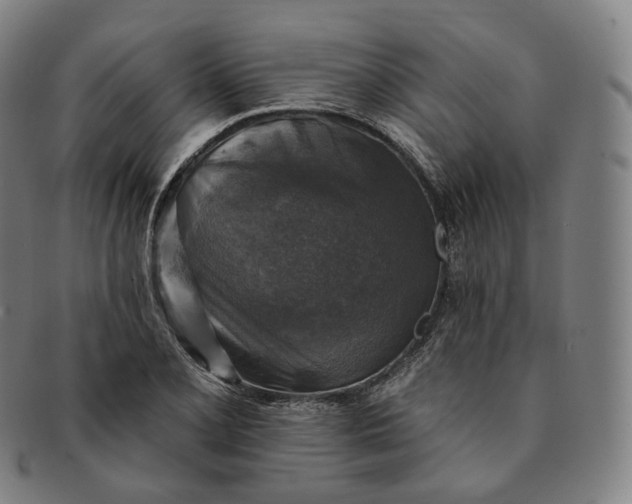 X0000091291077200708241024