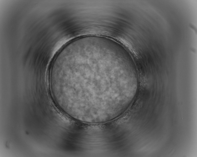 X0000091291078200708241024