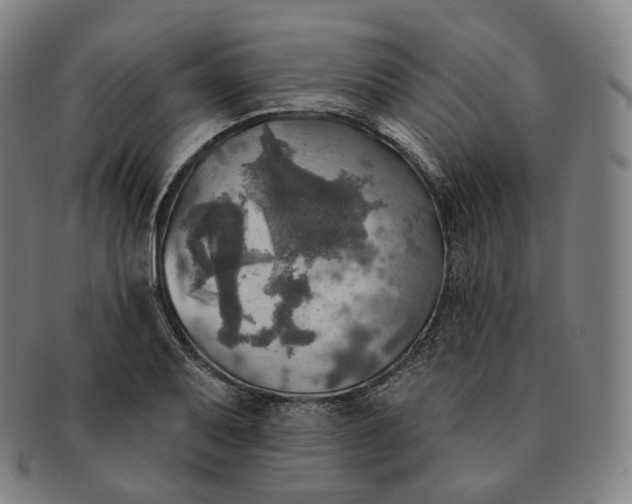 X0000091291079200708241023