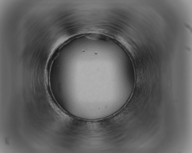 X0000091291080200708241023