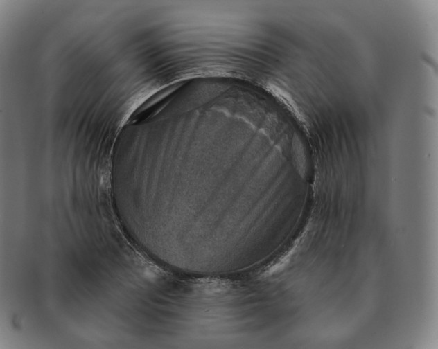 X0000091291081200708241023