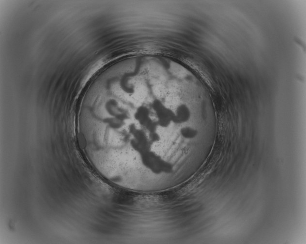 X0000091291083200708241023