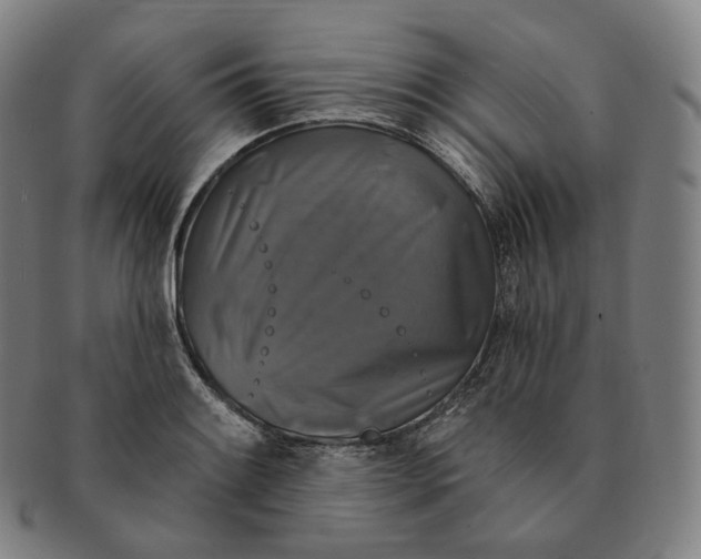 X0000091291084200708241023